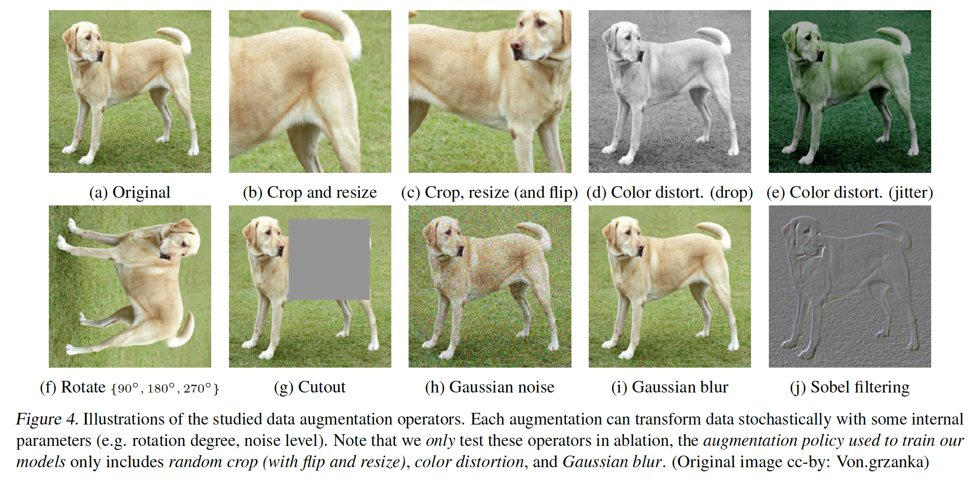 Figure 4: 사용된 다양한 데이터 증강 기법 시각화